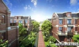 五月高招解斑最新爆料,最新爆料揭示神秘力量！”