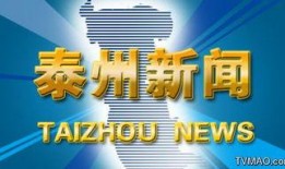 泰州新闻重大爆料视频,重大爆料视频内容全解析